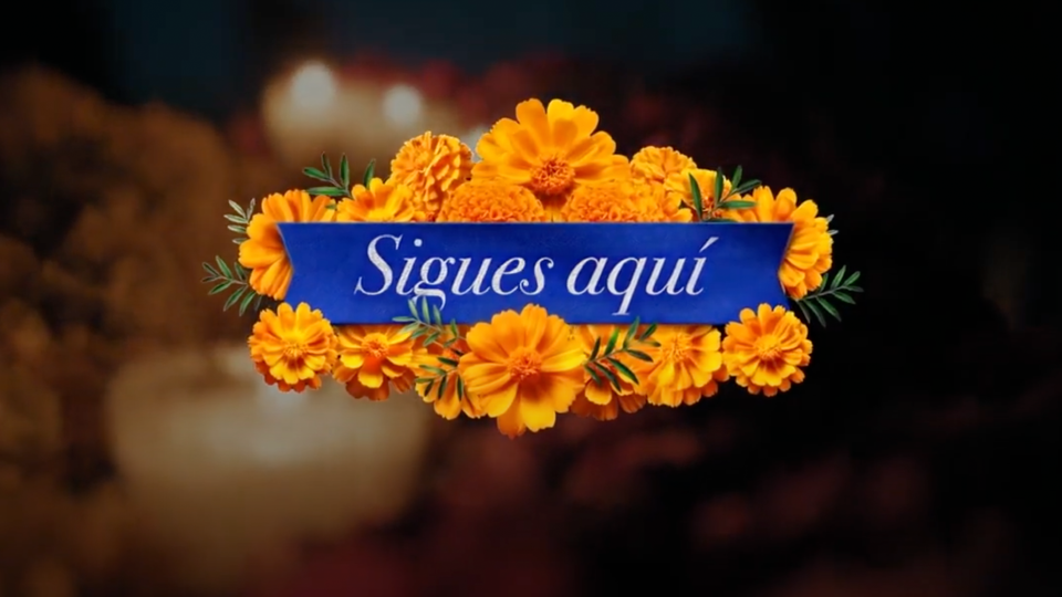 Sigues Aquí